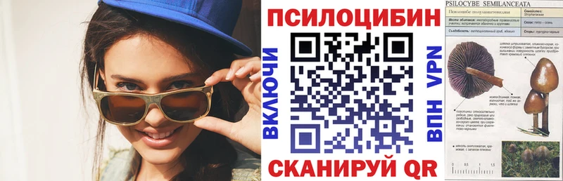 Купить  Озёрск  Галлюциногенные грибы Psilocybine cubensis 